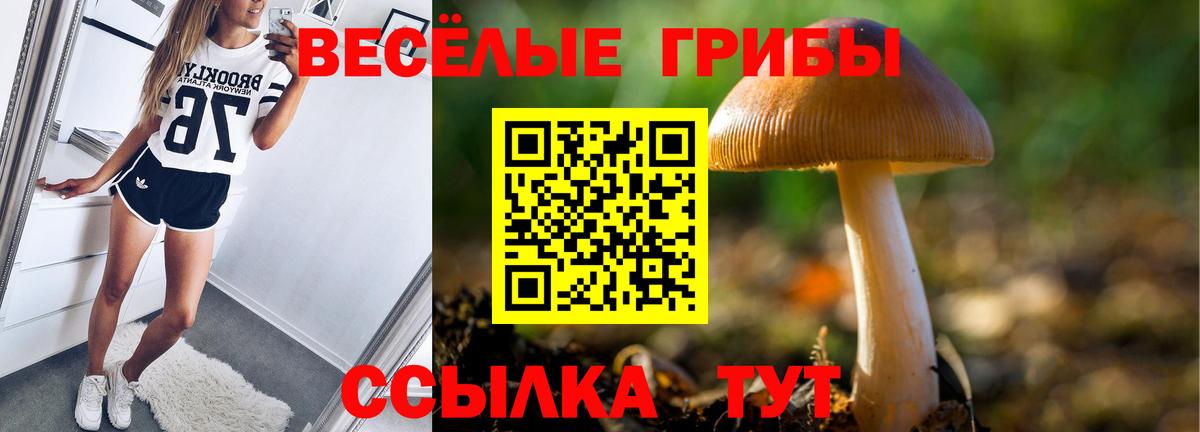 Псилоцибиновые грибы Magic Shrooms  Галлюциногенные грибы мухоморы  как найти   Вход с VPN  Кемерово 